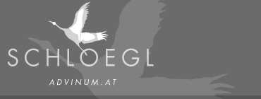 Logo Advinum